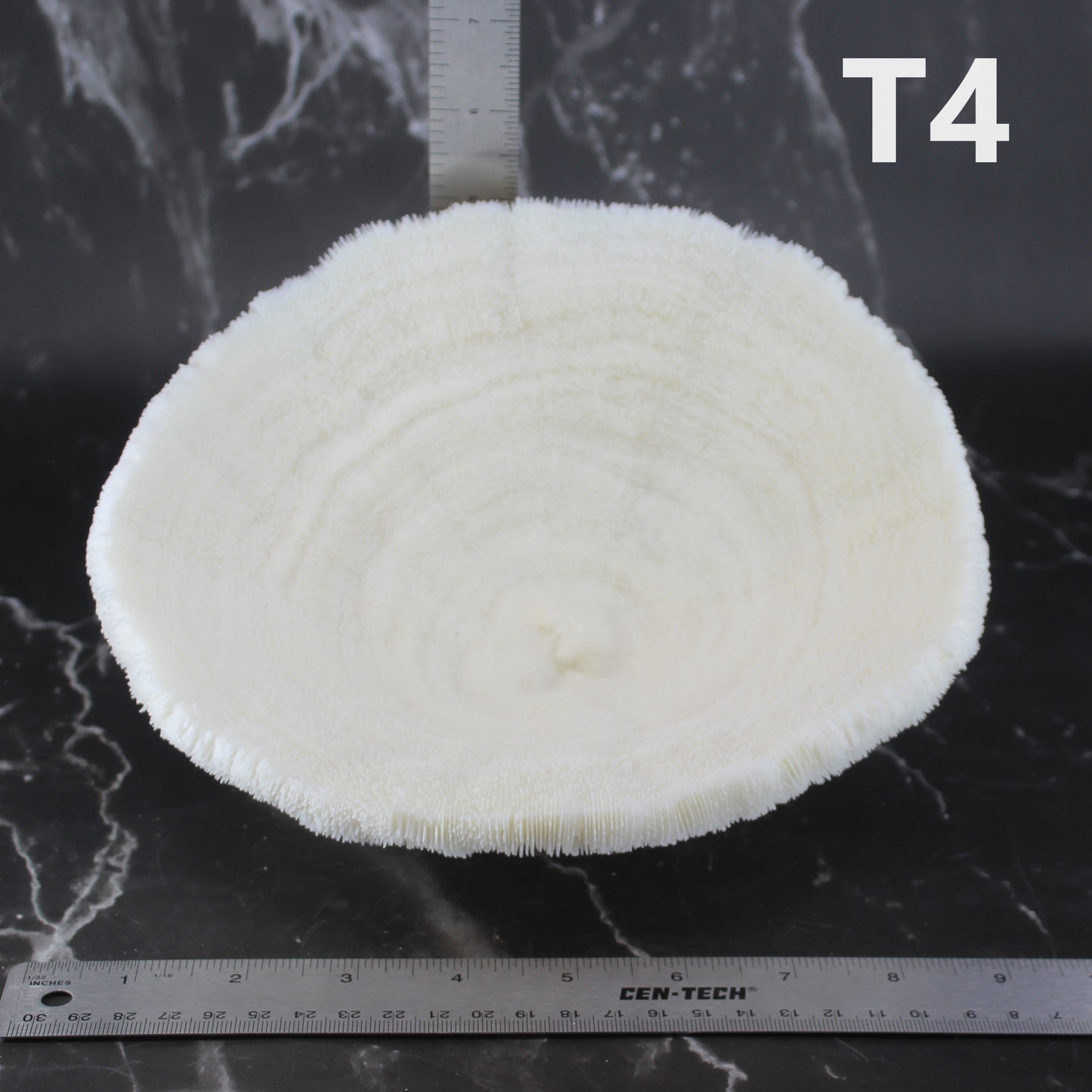Coral Bowl 8-10"