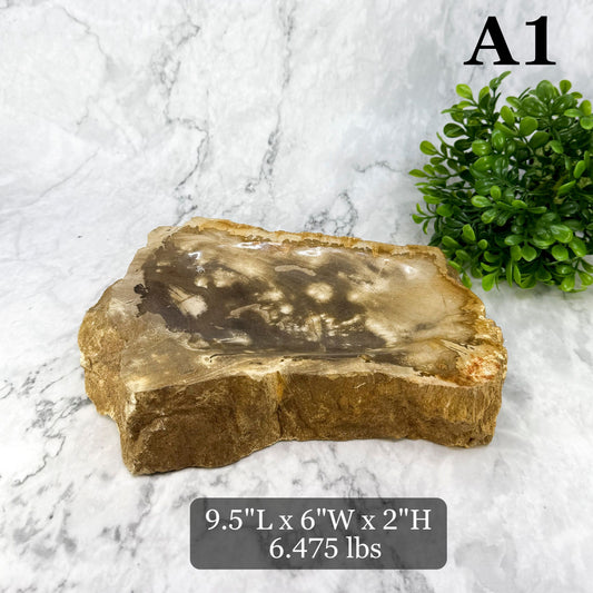 Garden Age Petrified Wood Bowls 9-10"