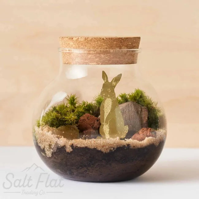 Plant Animals
