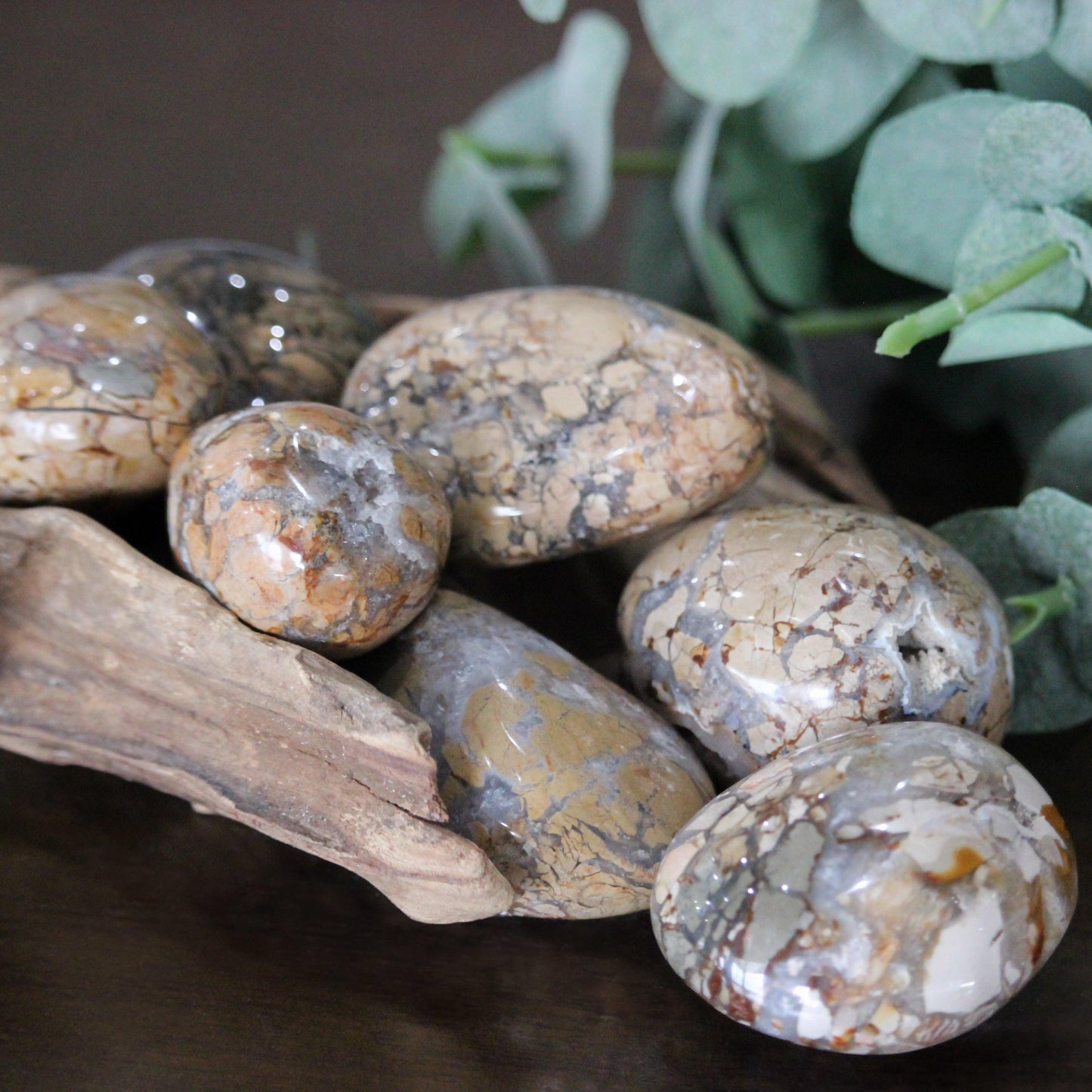 Ibis Jasper Palm Stone