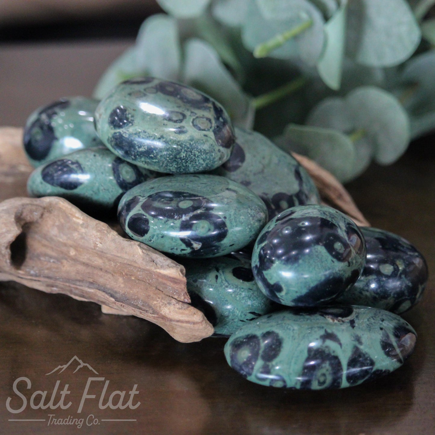 Kambaba Jasper Palm Stone
