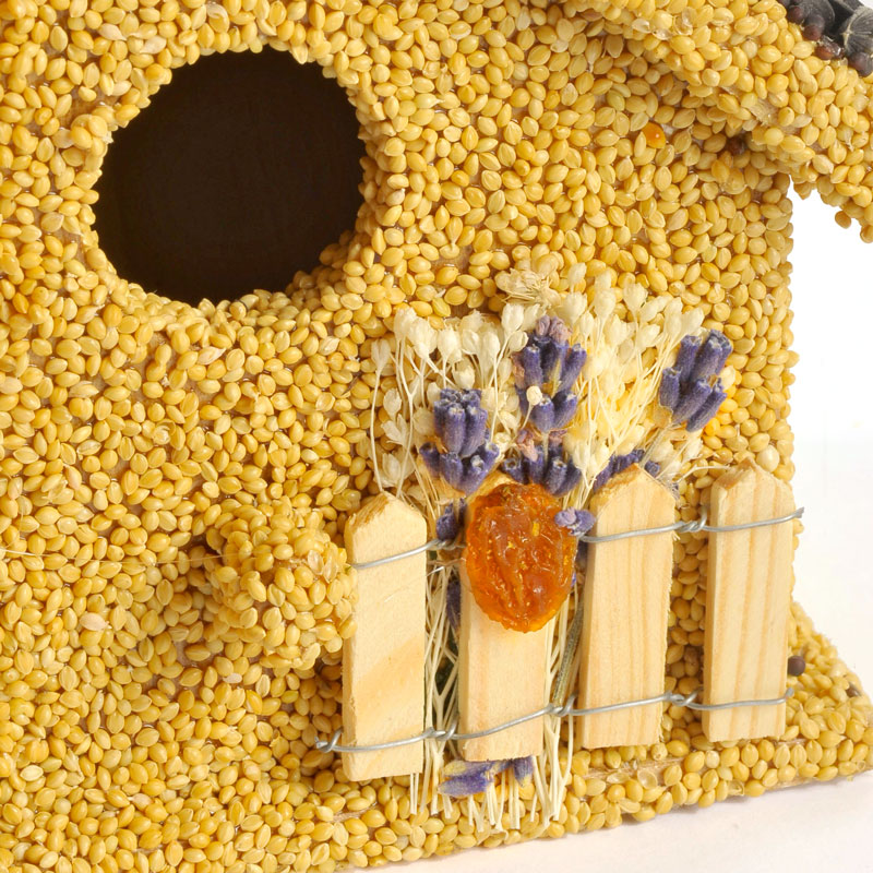Mr. Bird Cottages