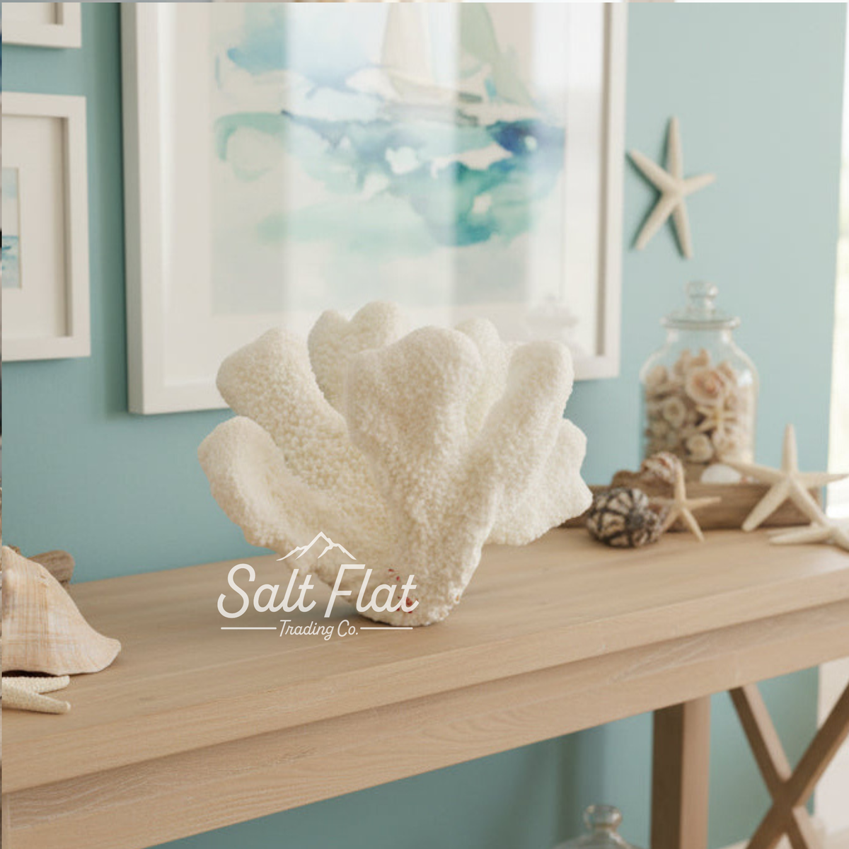 Catspaw Coral 5-7"