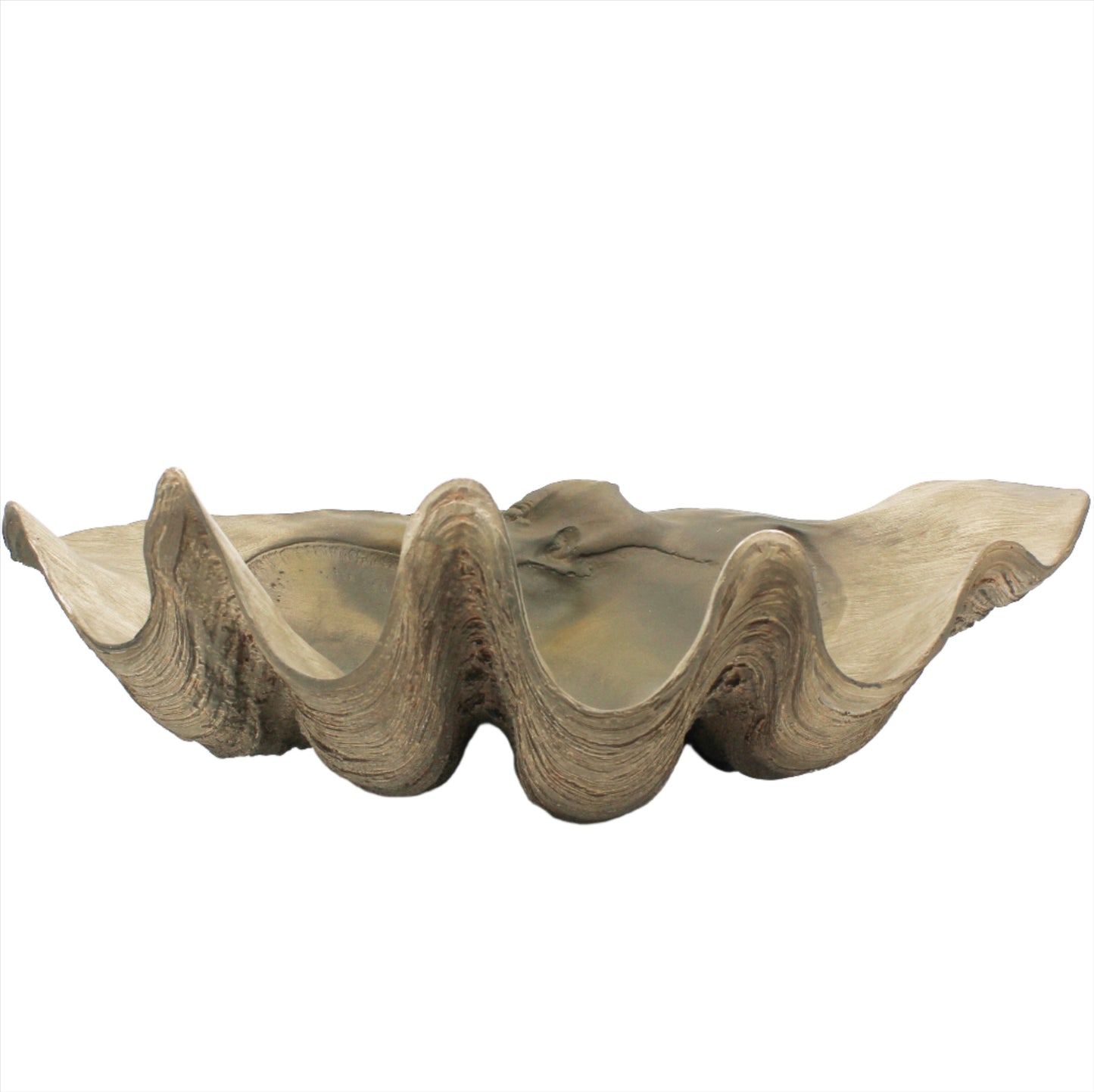 Clam Bowl