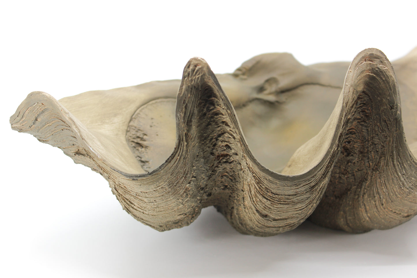 Clam Bowl