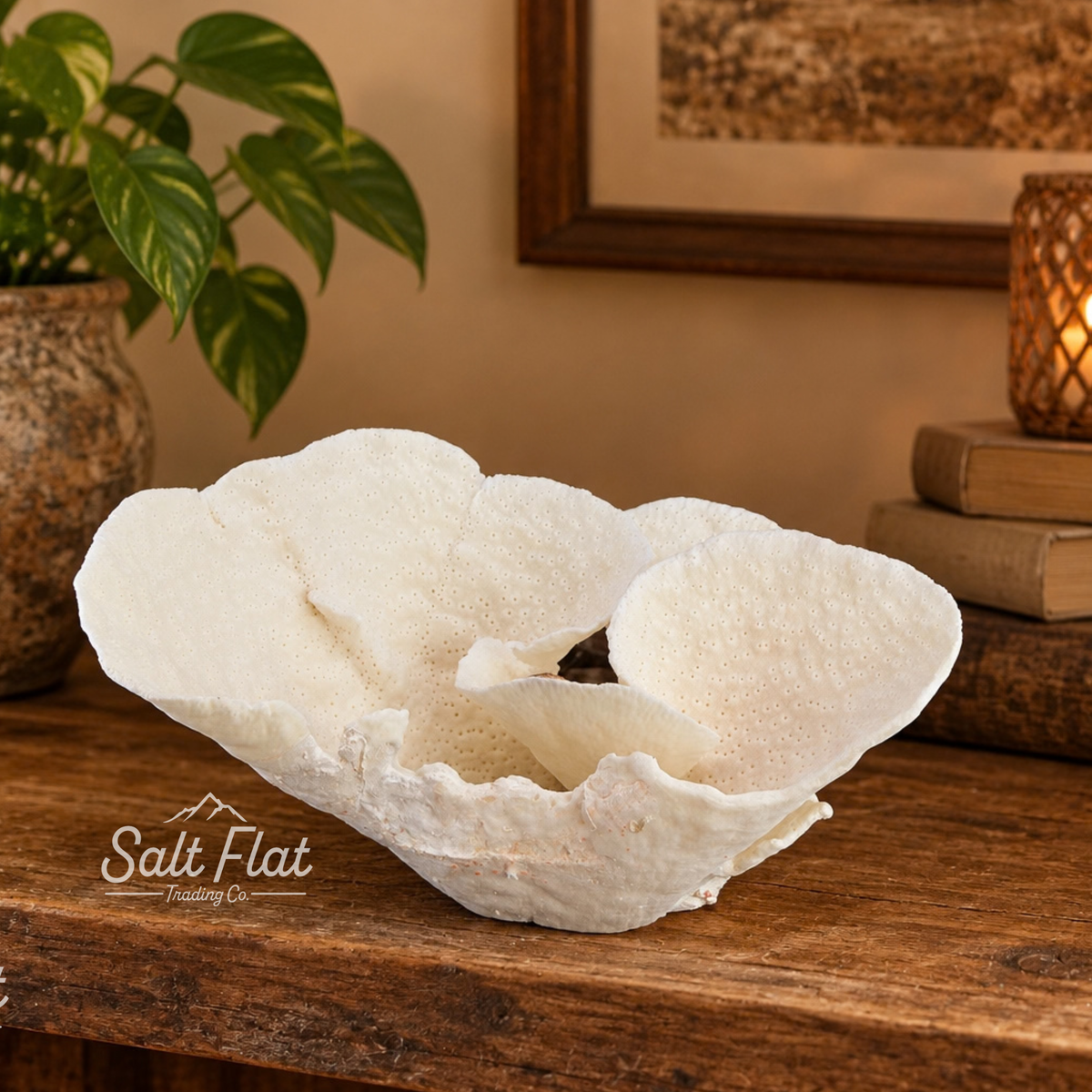 Cup Coral 12-14"