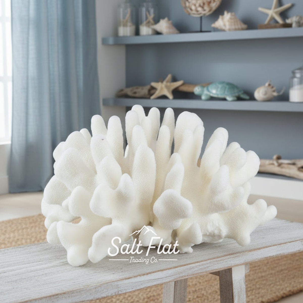 Elkhorn Coral 7-10"