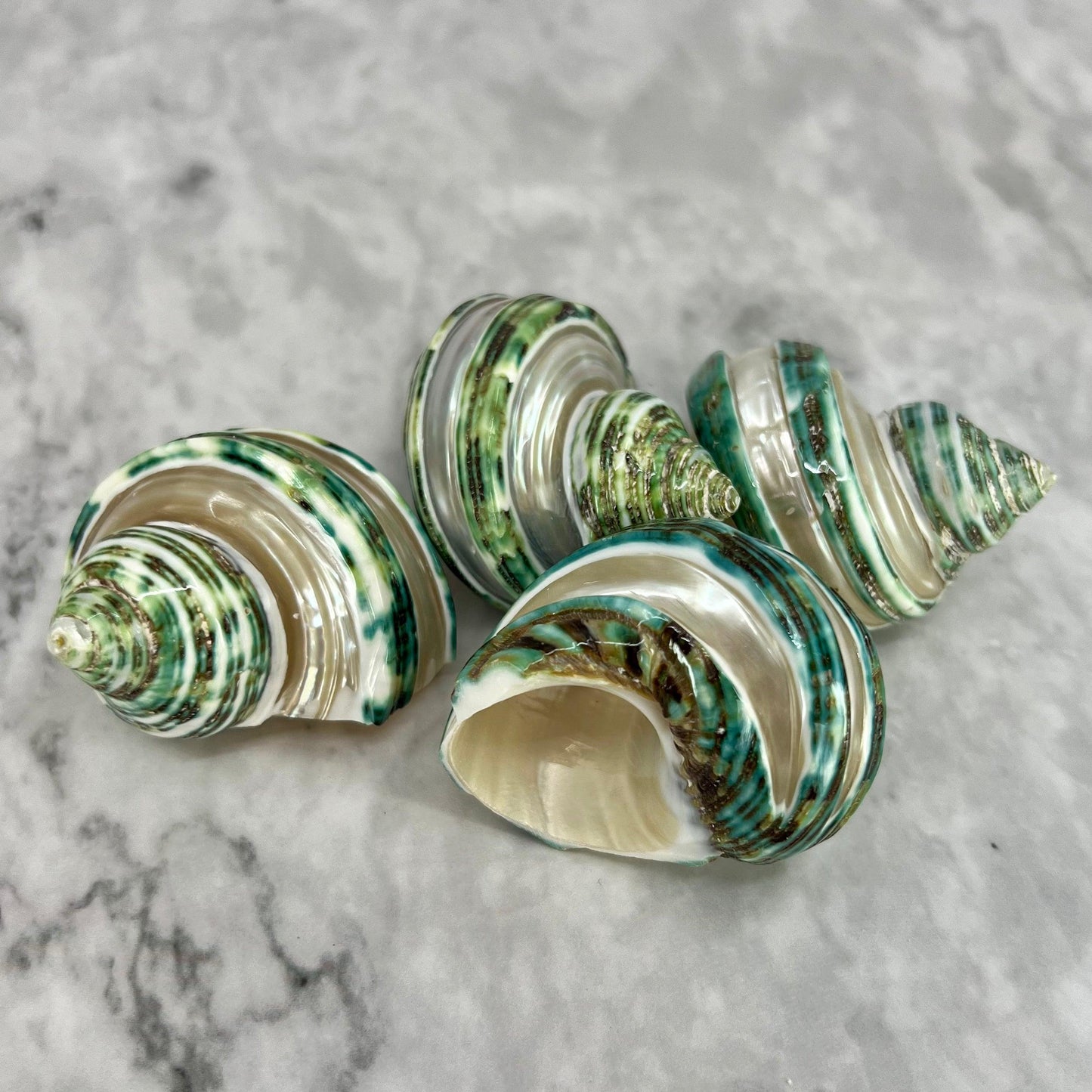 Green Turbo Banded 1.5-2"