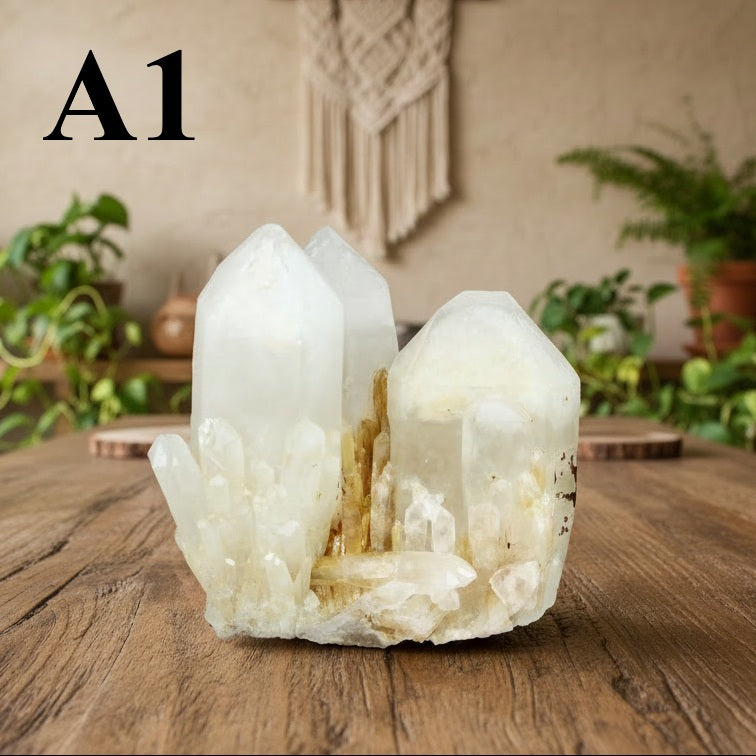 Sprouting Quartz