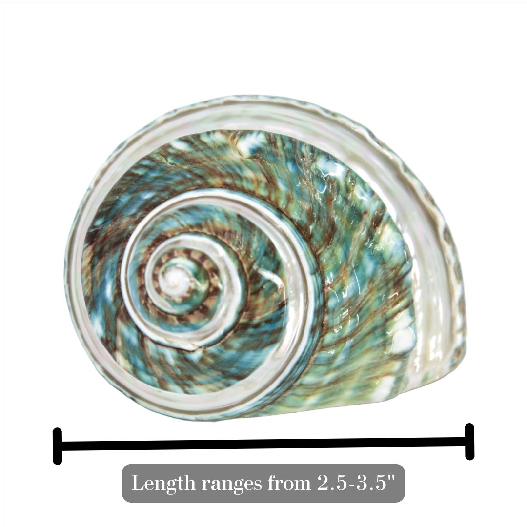 Jade Turbo Spiral 2.5-3.5"