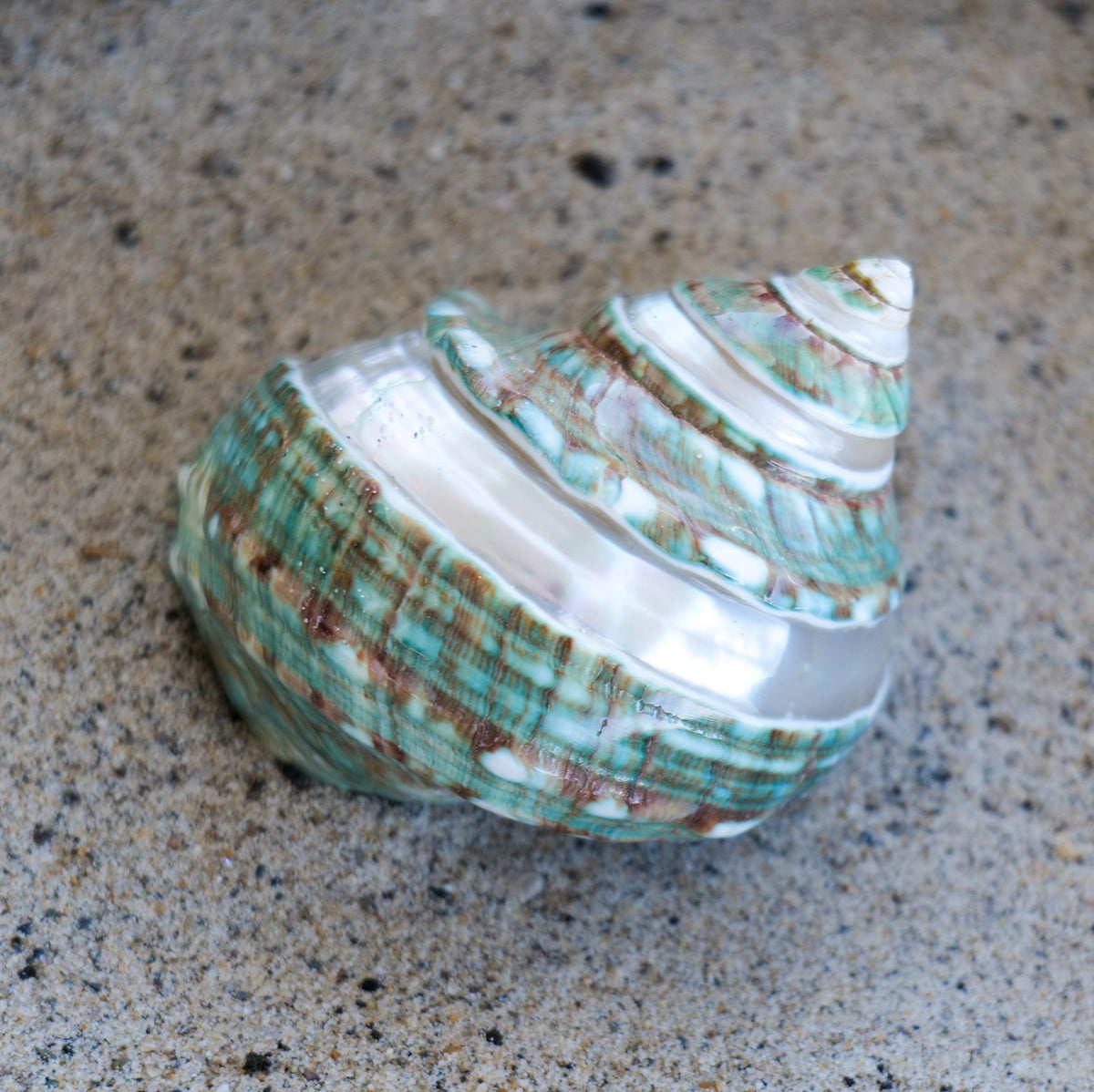 Jade Turbo Spiral 2-3"