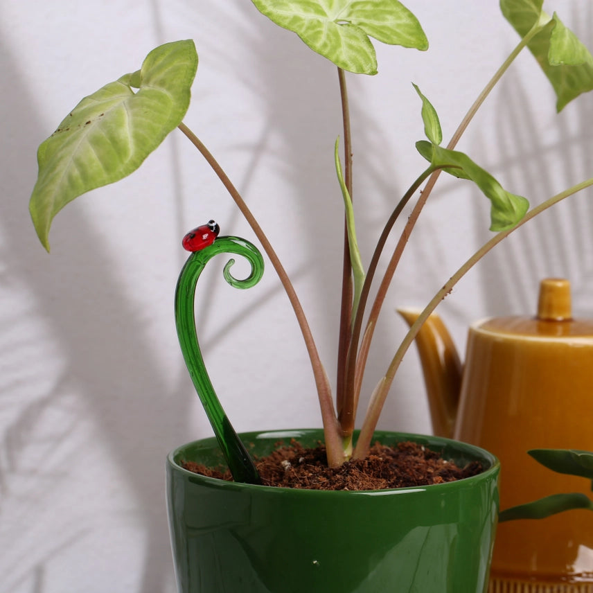 Glass Plant Stake