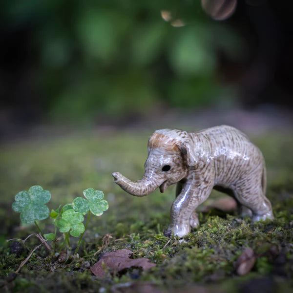 Little Critterz™ - Zoo