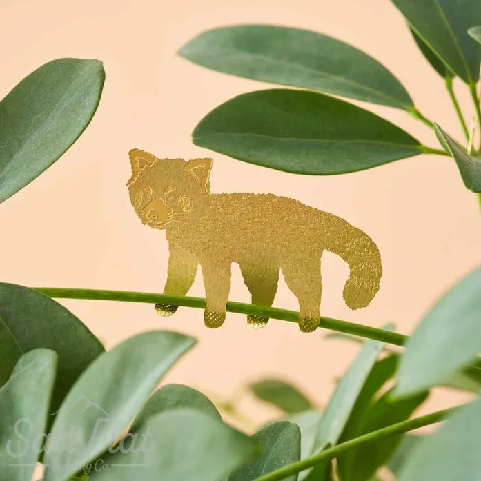 Plant Animals