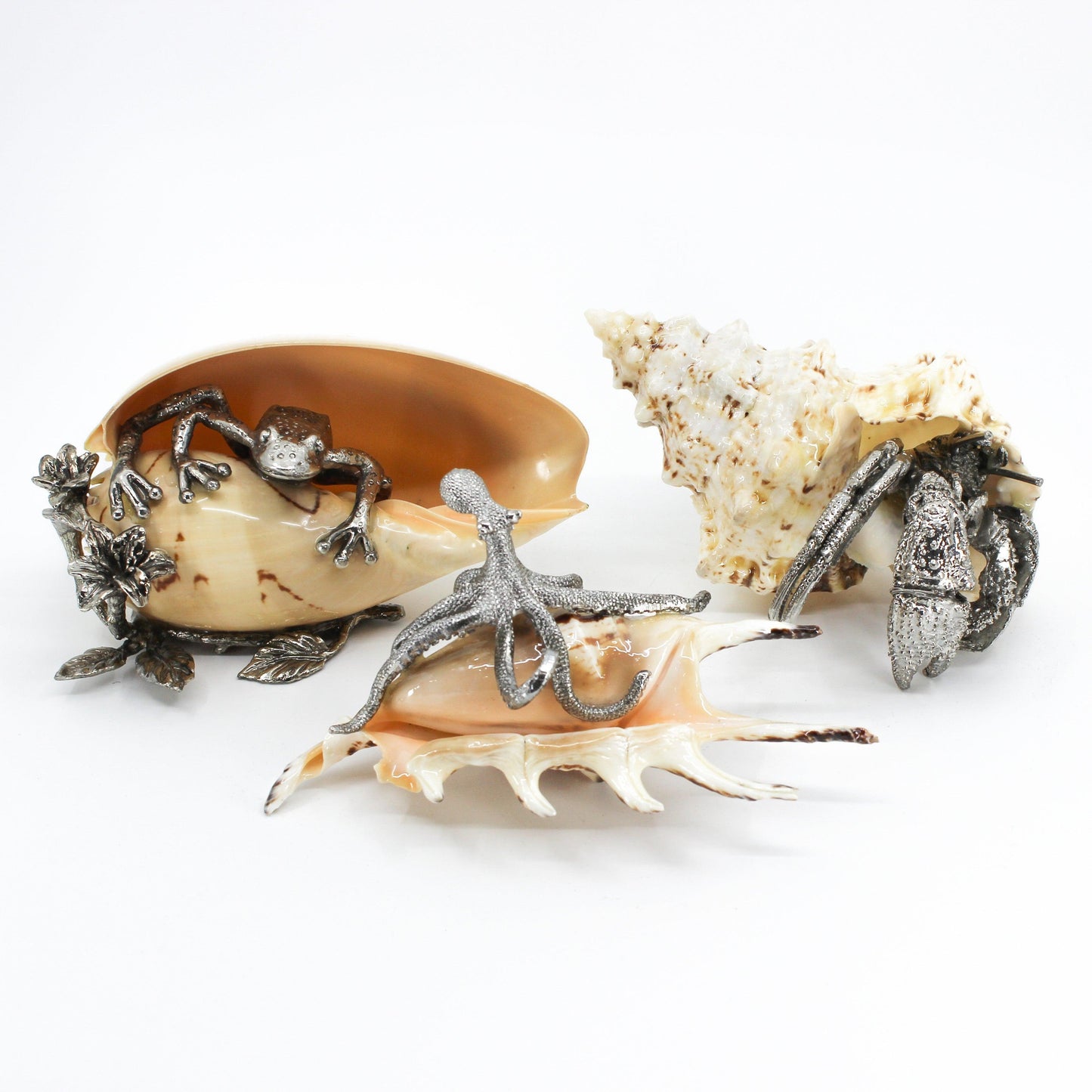 Pewter Shells