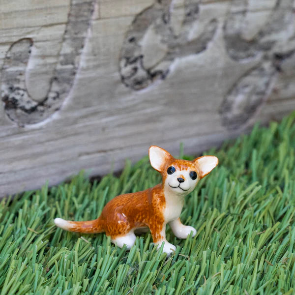Little Critterz™ - Cats & Dogs