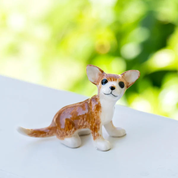 Little Critterz™ - Cats & Dogs