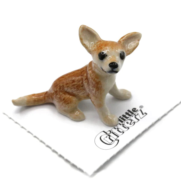 Little Critterz™ - Cats & Dogs