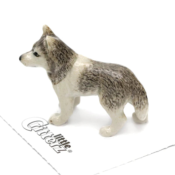 Little Critterz™ - Cats & Dogs