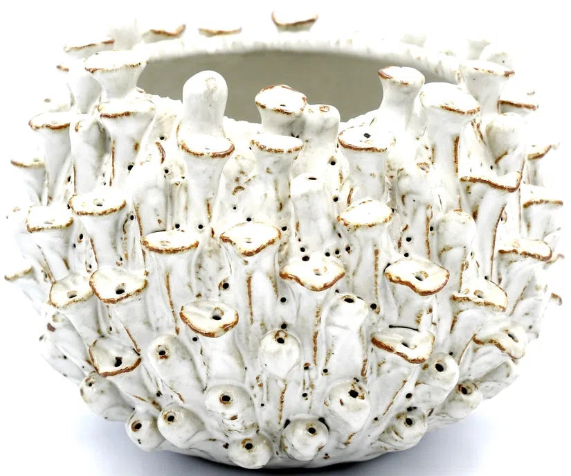 Sea Anemone Vase