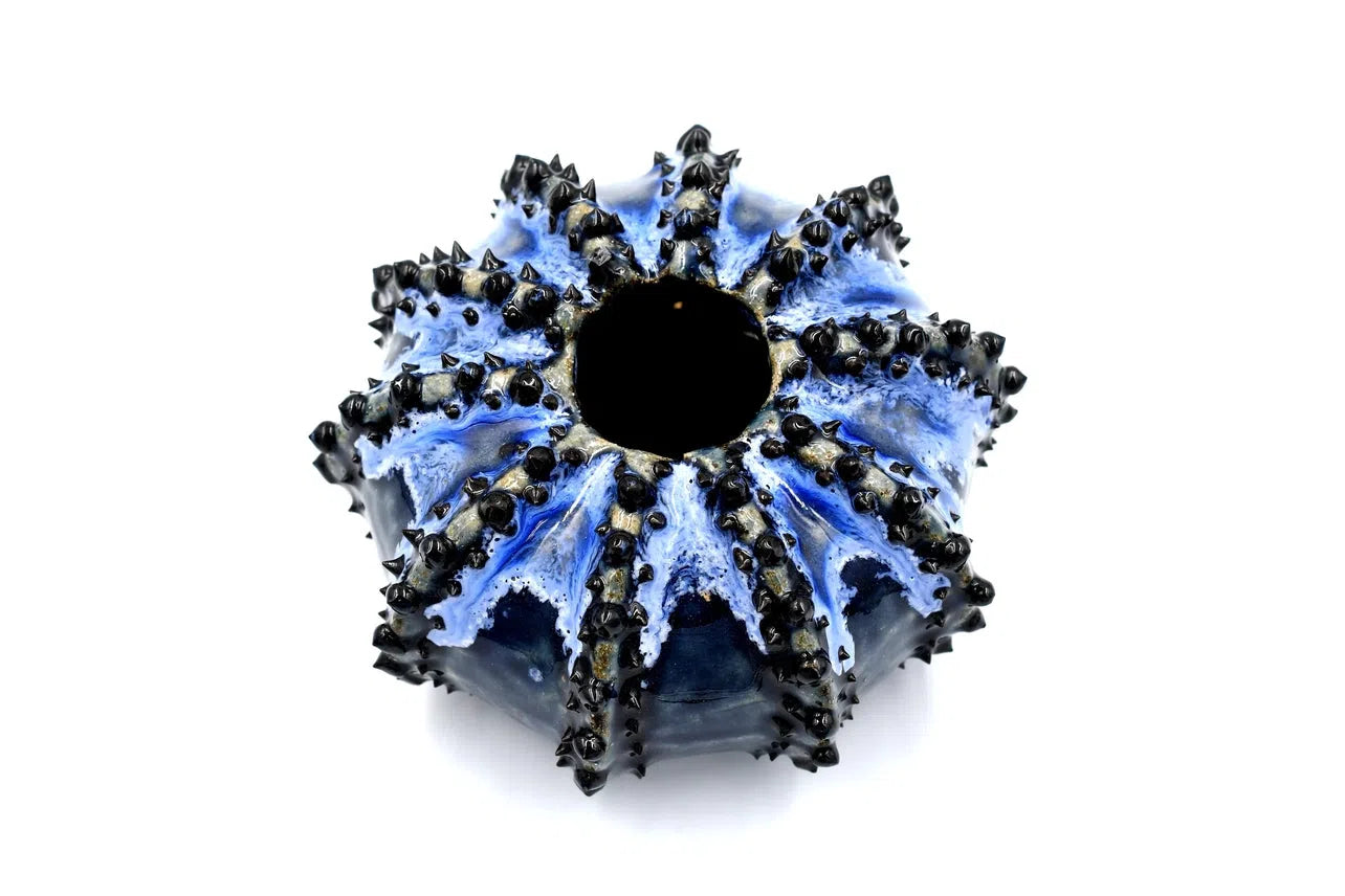 Sea Urchin Vase
