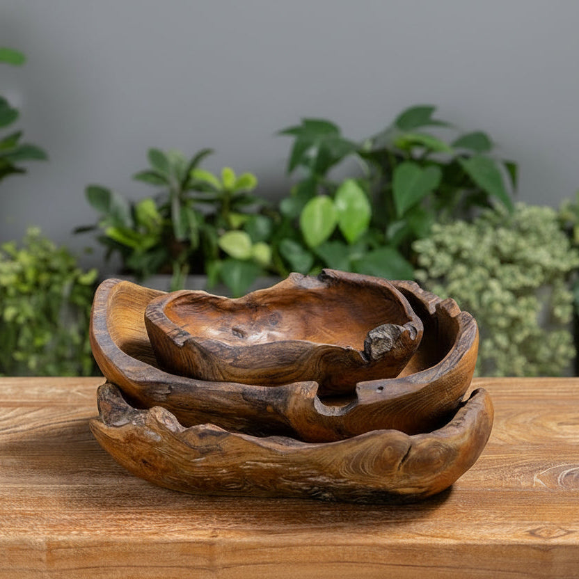 Eroded Teak Root Bowls