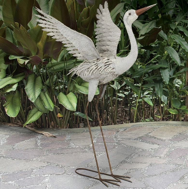 Garden Egret