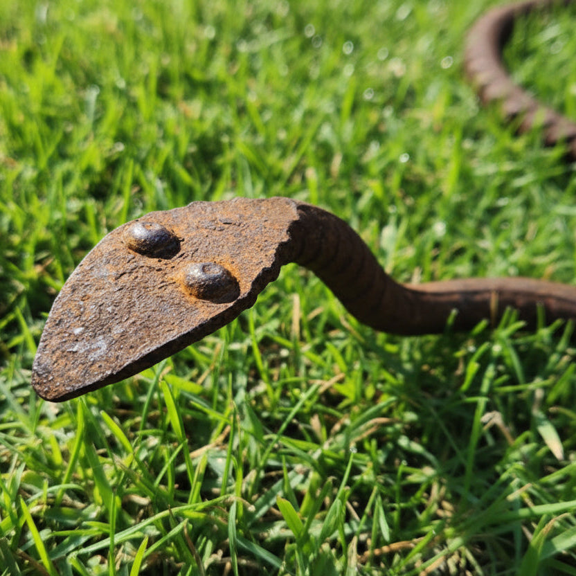 Rustic Metal Snake Garden Art