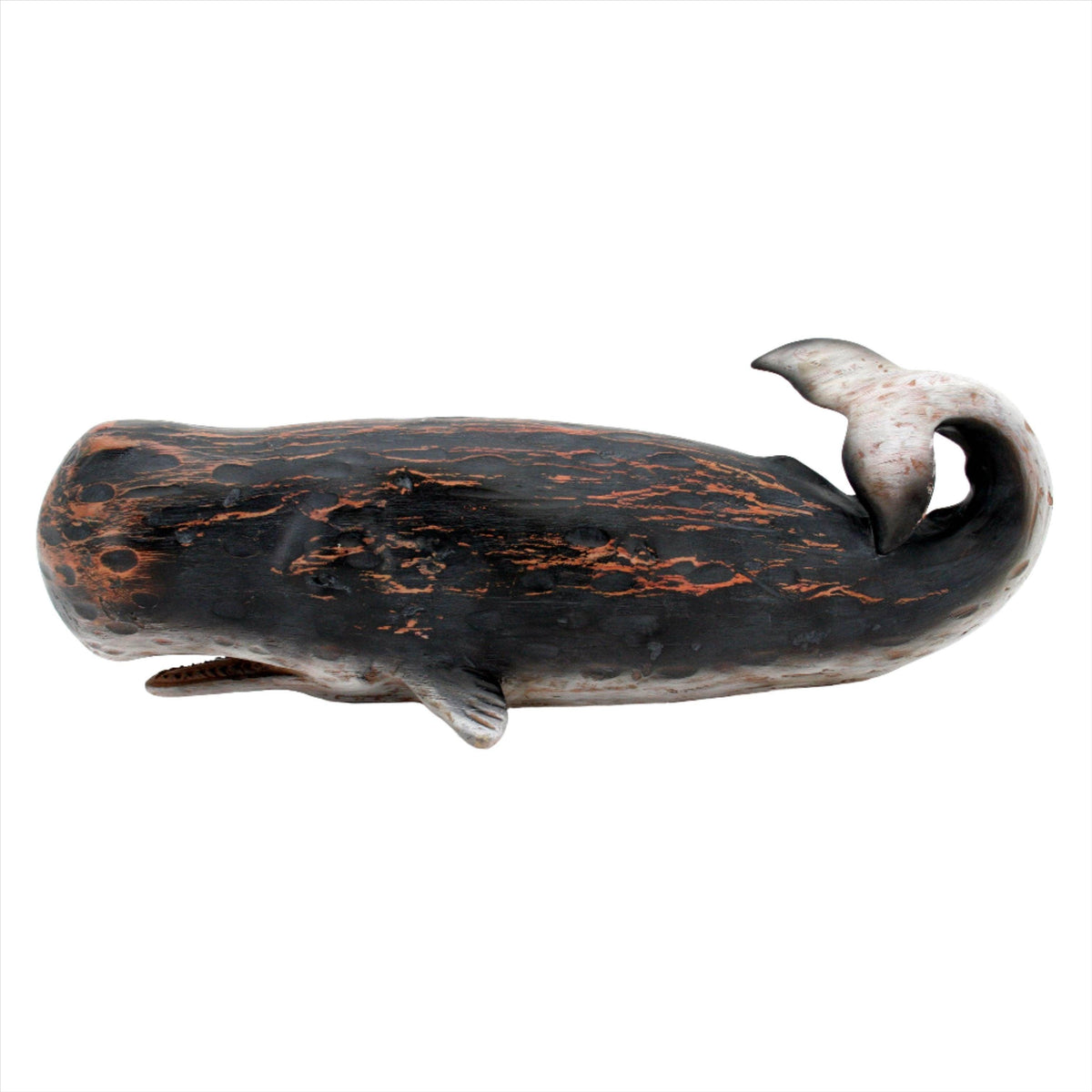 Black Sperm Whale