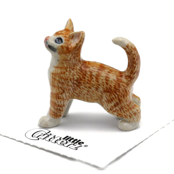 Little Critterz™ - Cats & Dogs