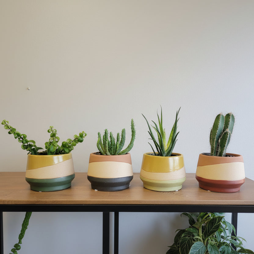 5" Mirage Planter