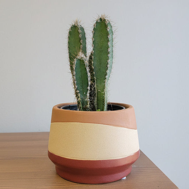 5" Mirage Planter