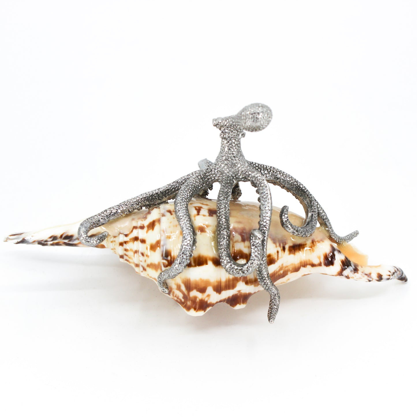 Pewter Shells