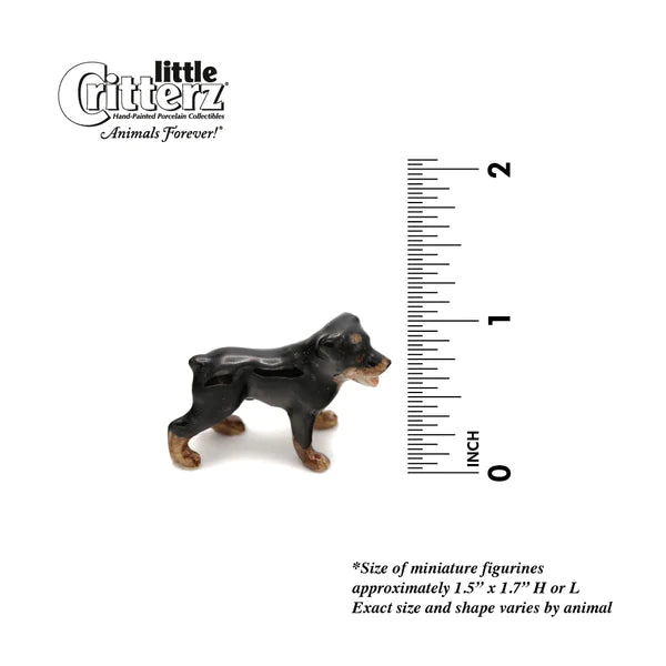 Little Critterz™ - Cats & Dogs