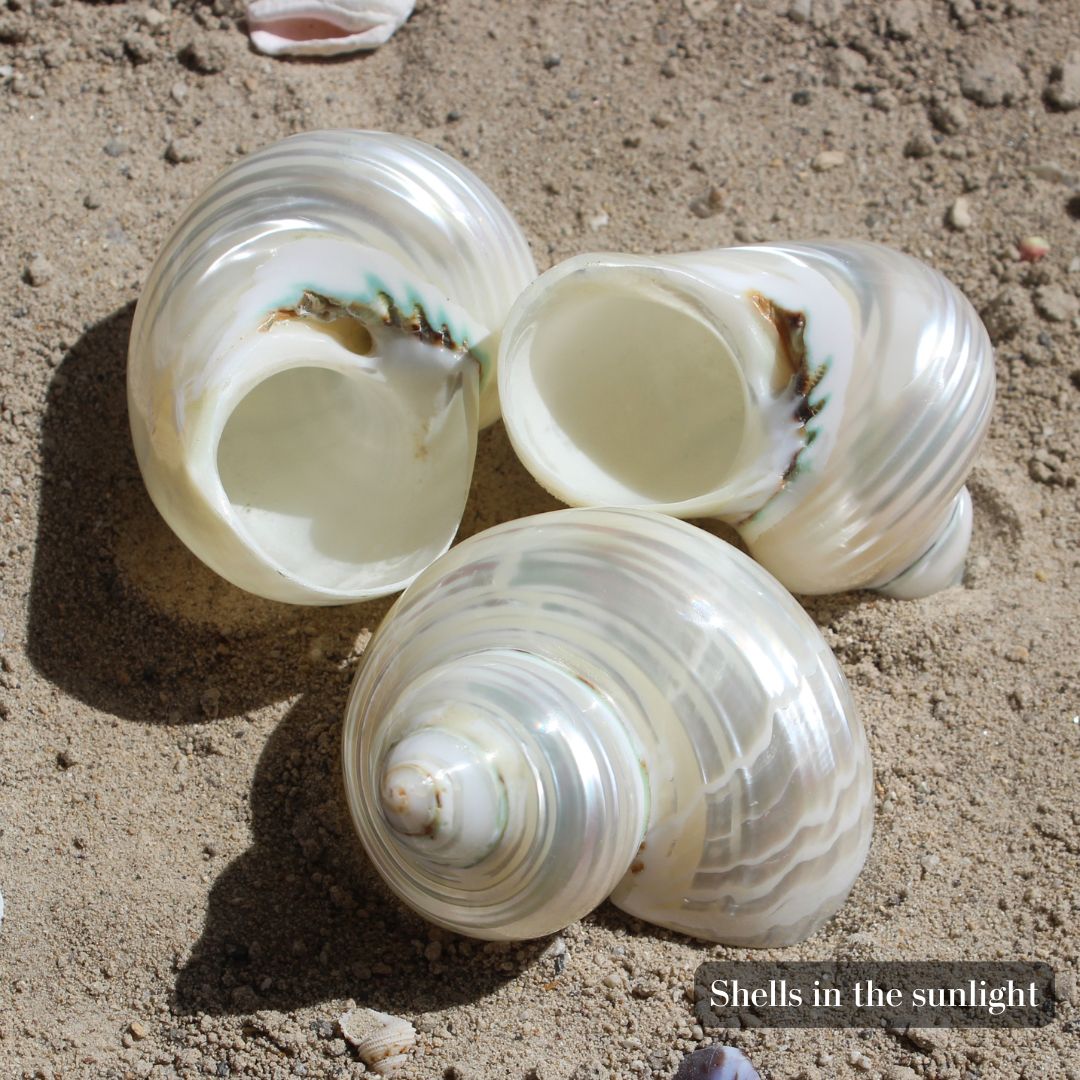 Silvermouth Turbo 1.5-2.5"