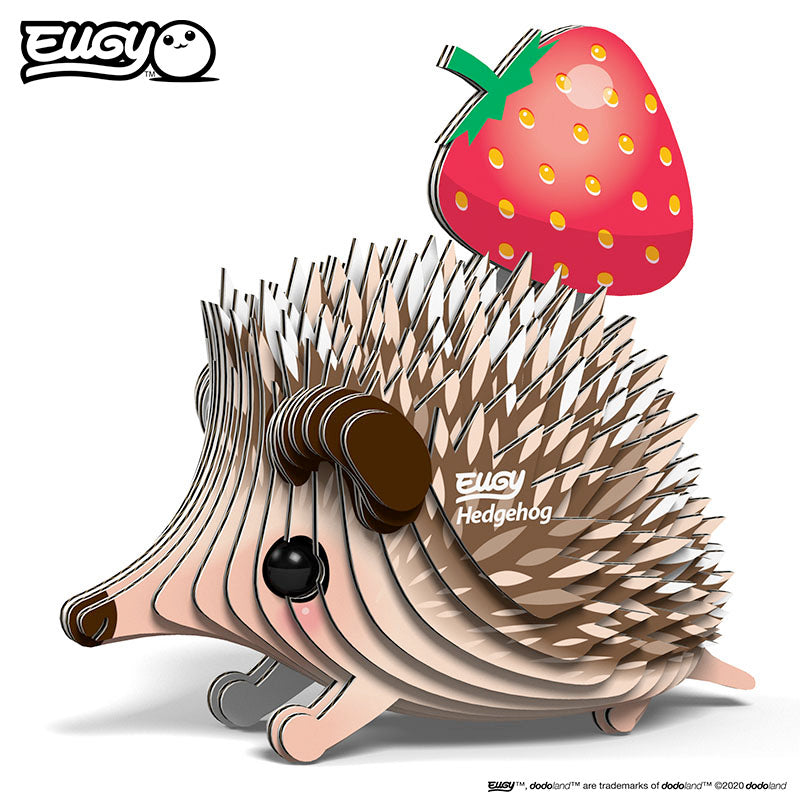 EUGY Forest