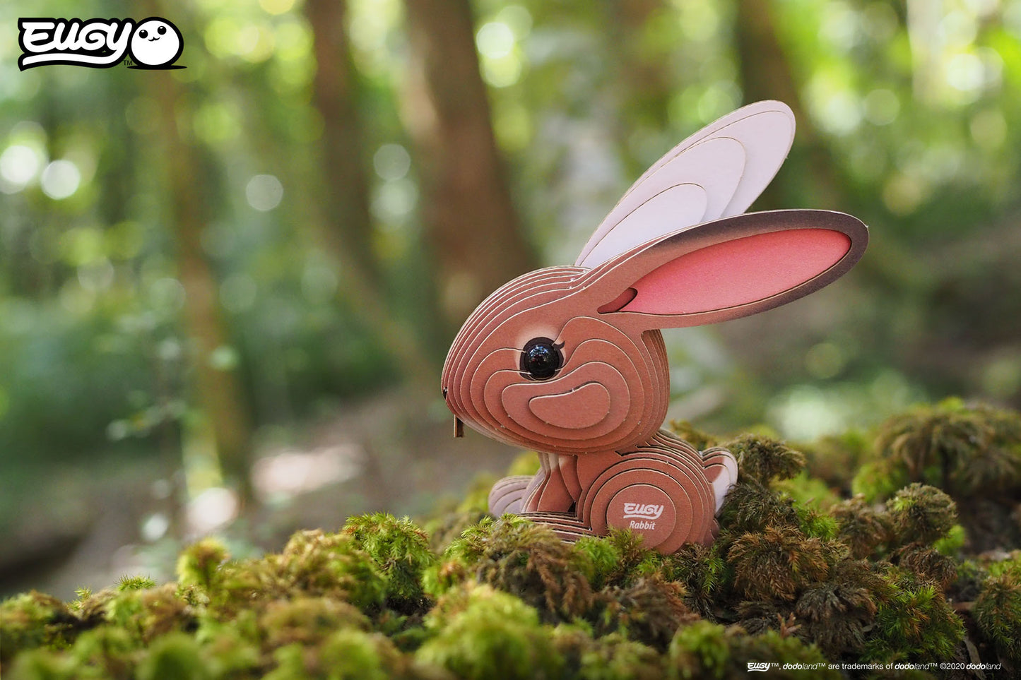 EUGY Forest