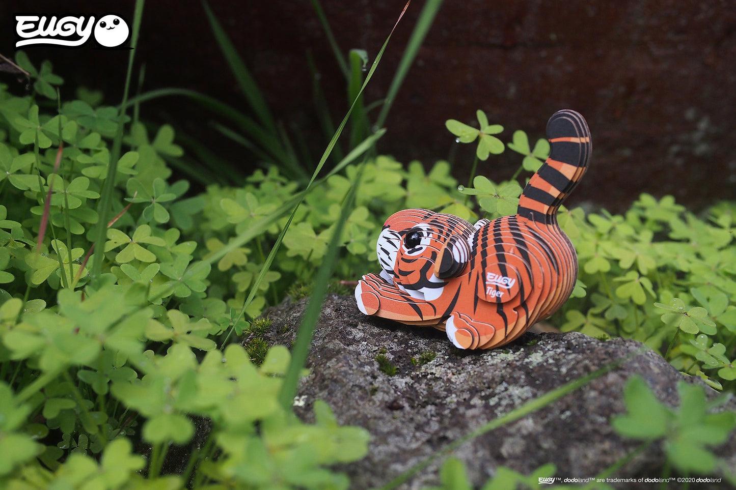 EUGY Jungle