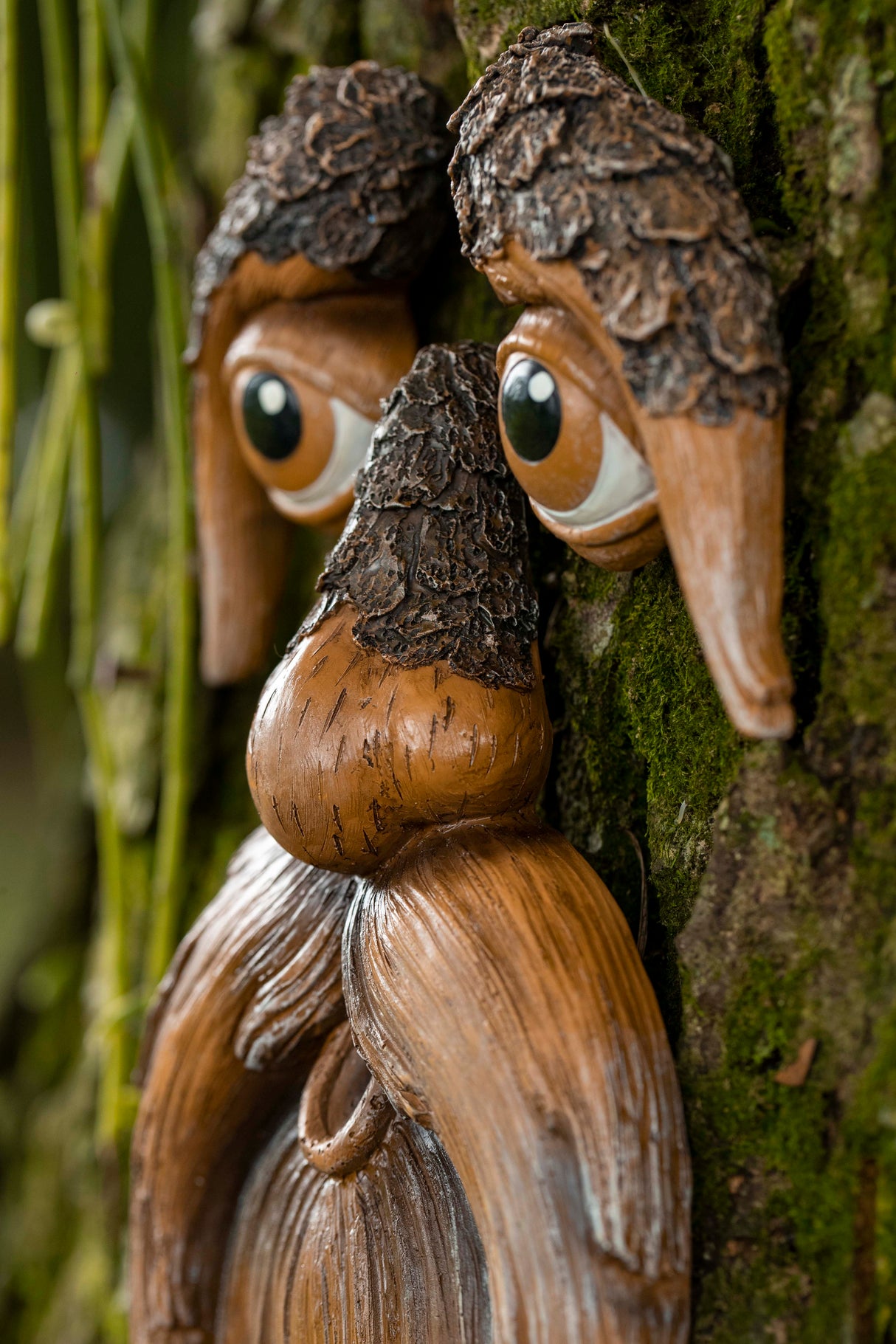 Tree Face