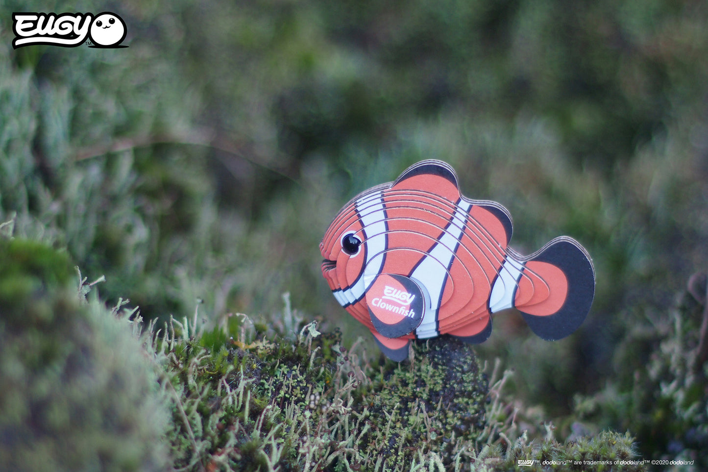 EUGY Sea