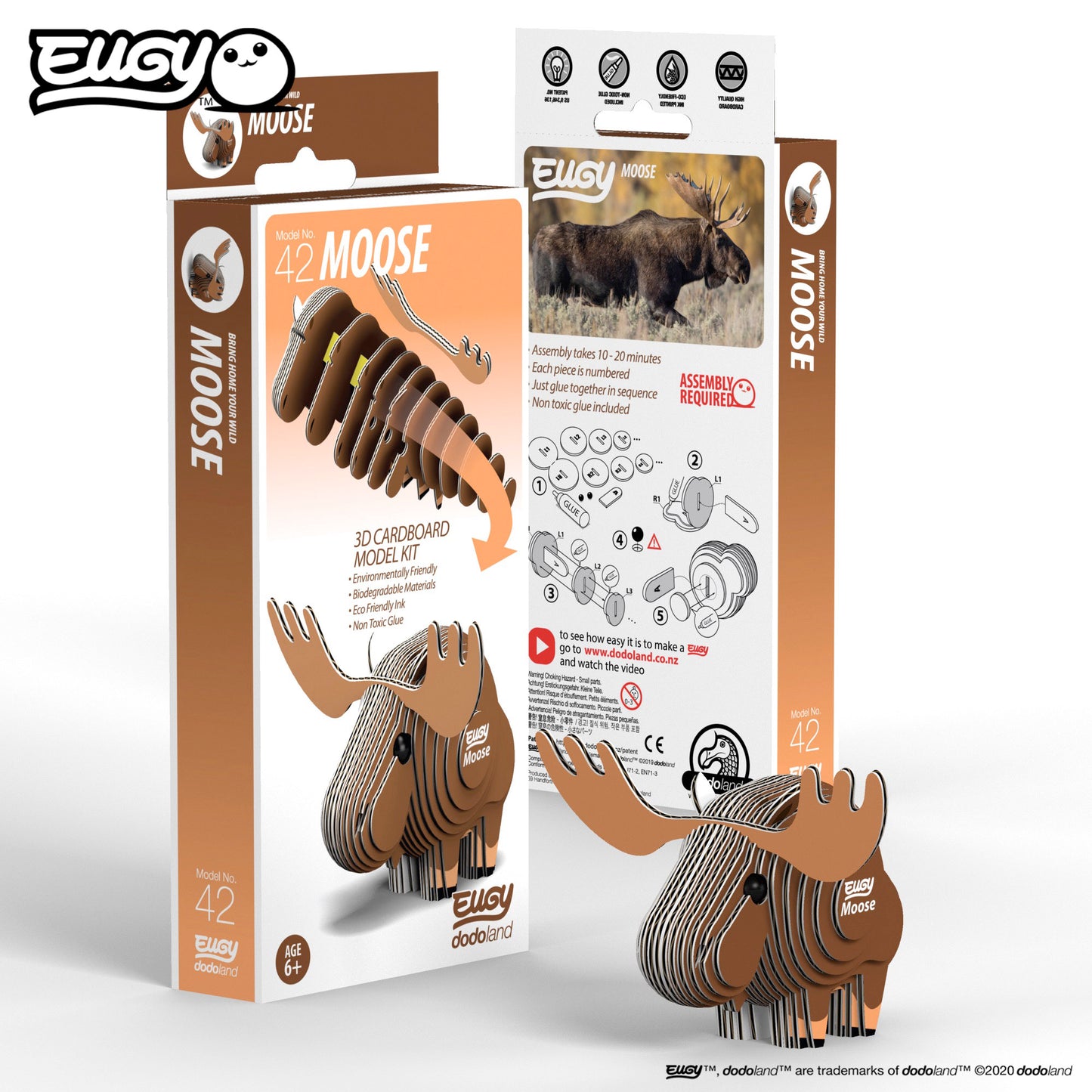 EUGY Forest