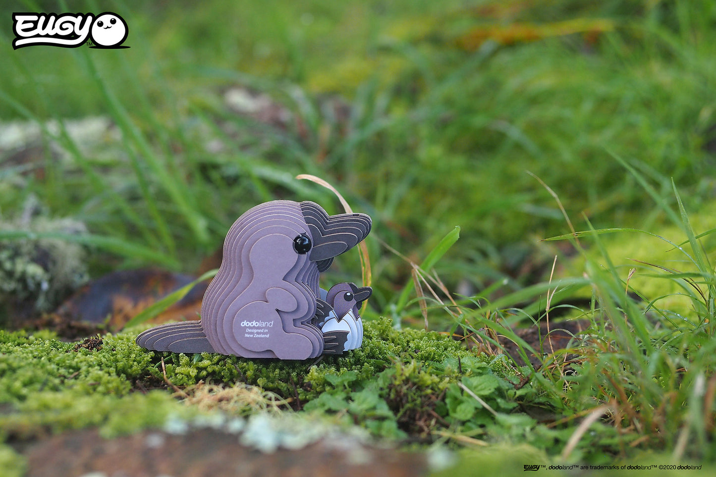 EUGY Jungle
