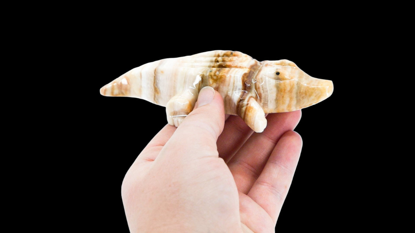 5'' Marble Crocodile