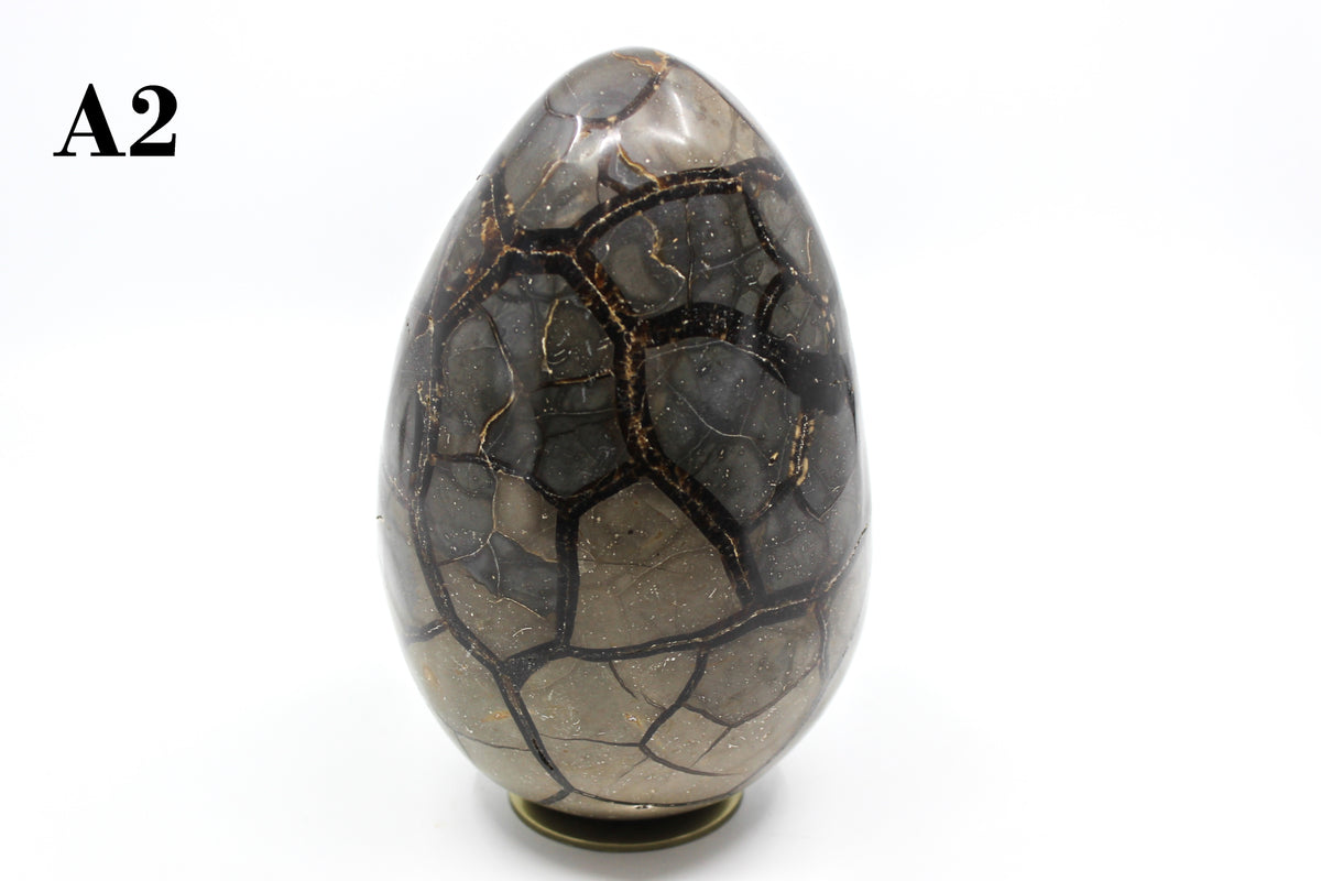 Septarian Dragon Egg 6-7"