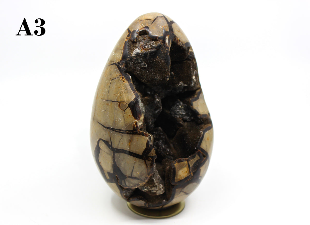 Septarian Dragon Egg 6-7"