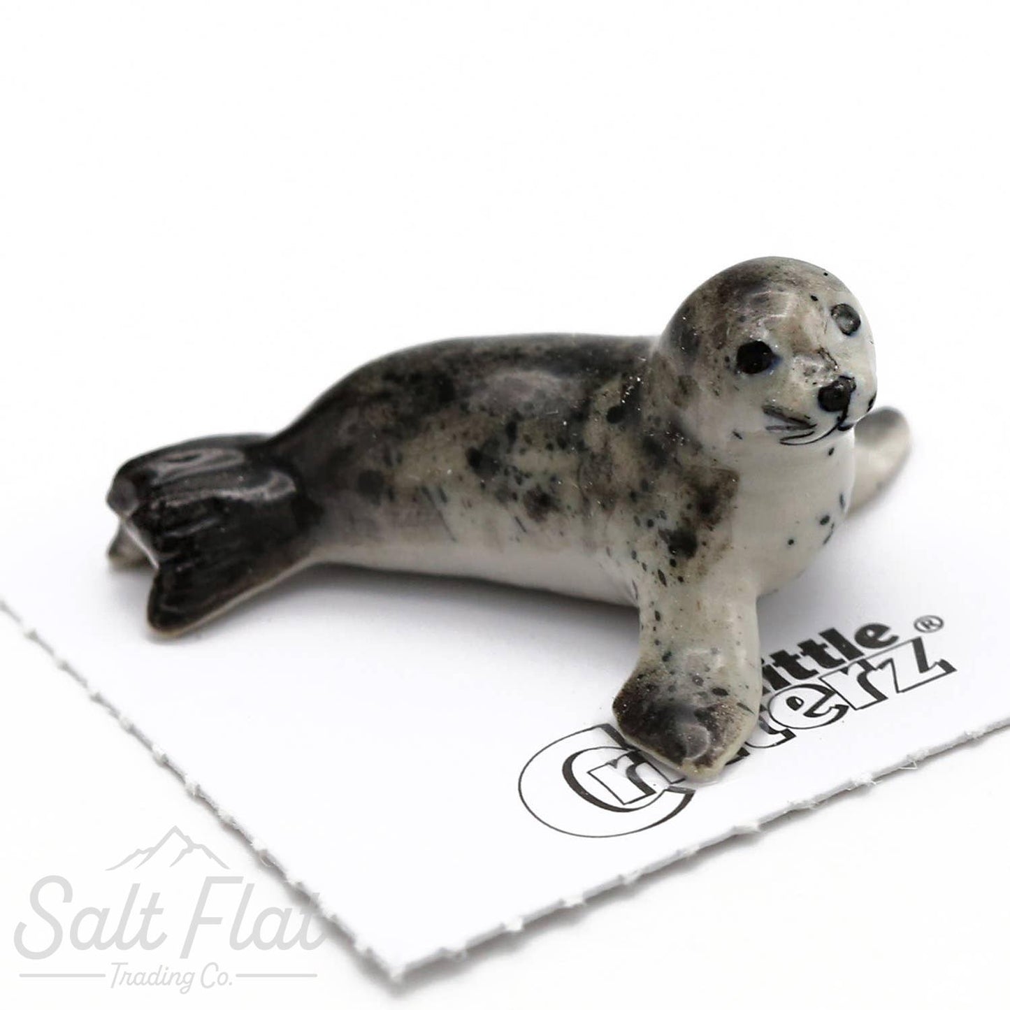 Little Critterz™ - Sealife