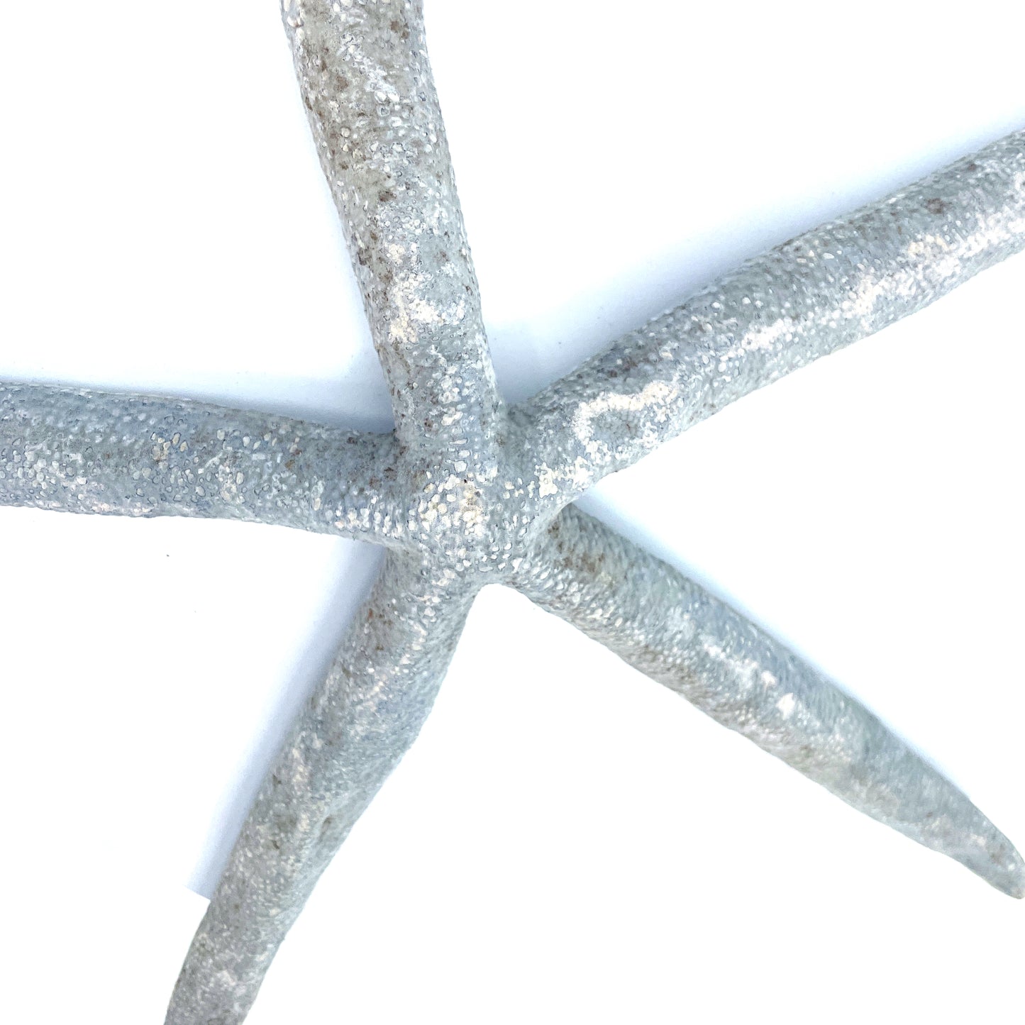 Blue Linkia Star