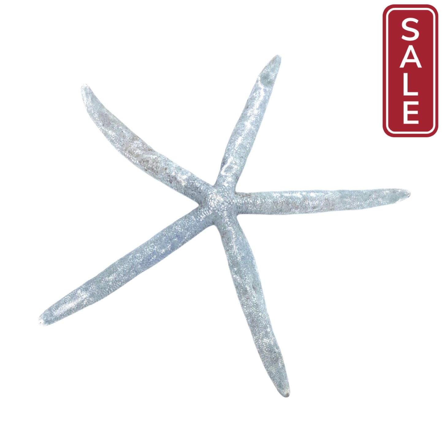 Blue Linkia Star