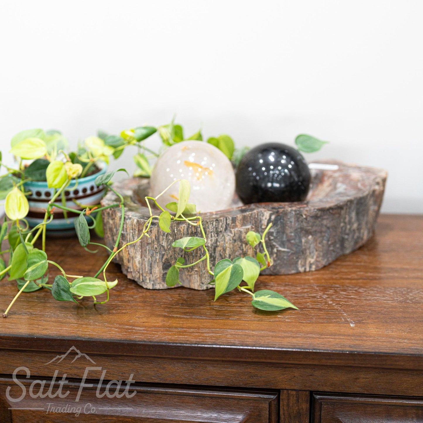 Extra-Large Petrified Wood Bowl
