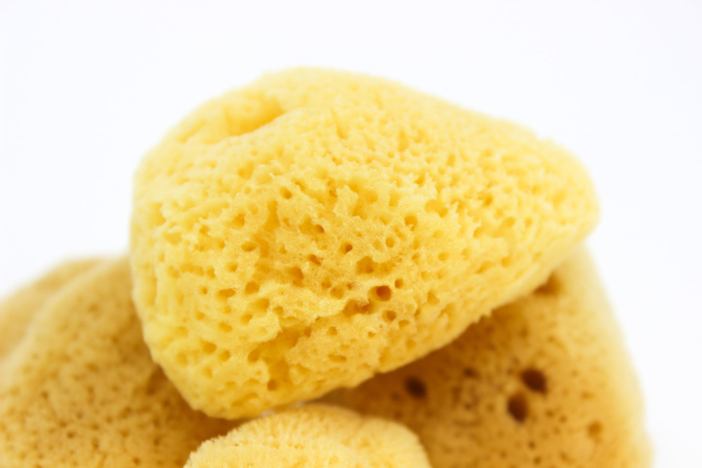 Cosmetic Sponge
